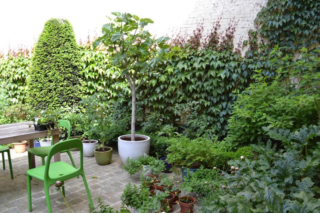 Carriage House In Quiet Ecological Garden Vakantiehuis *